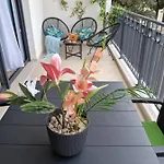 Apartment Kathisma Trebinje